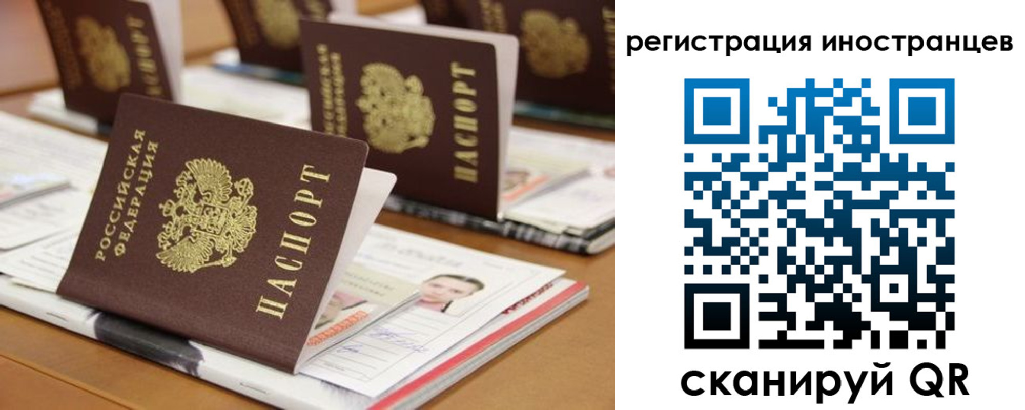 пропишу в квартире в Волоколамске